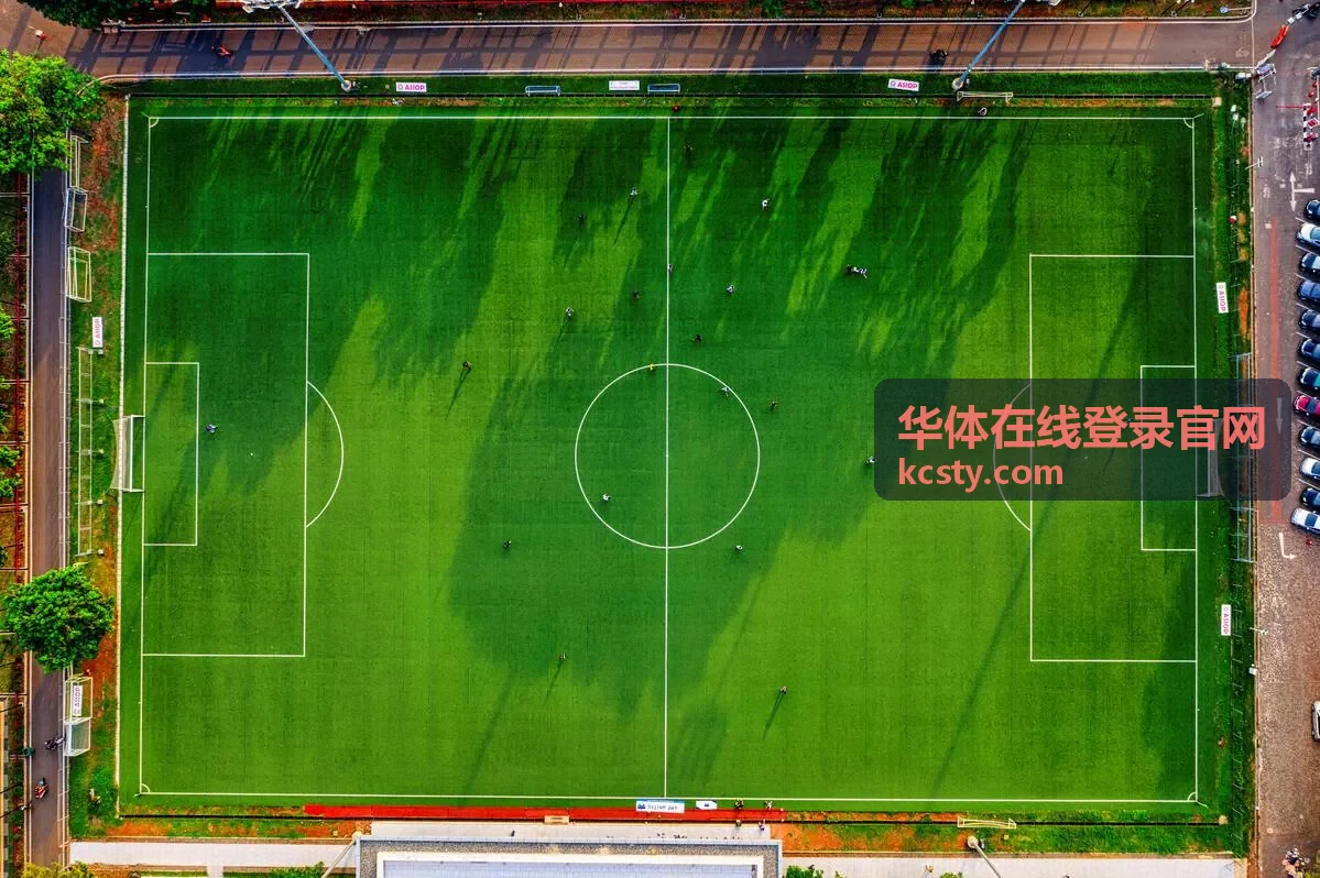 华体在线登录官网当期活动主视觉封面